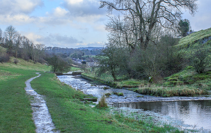 Bradford Dale Bradford Dale